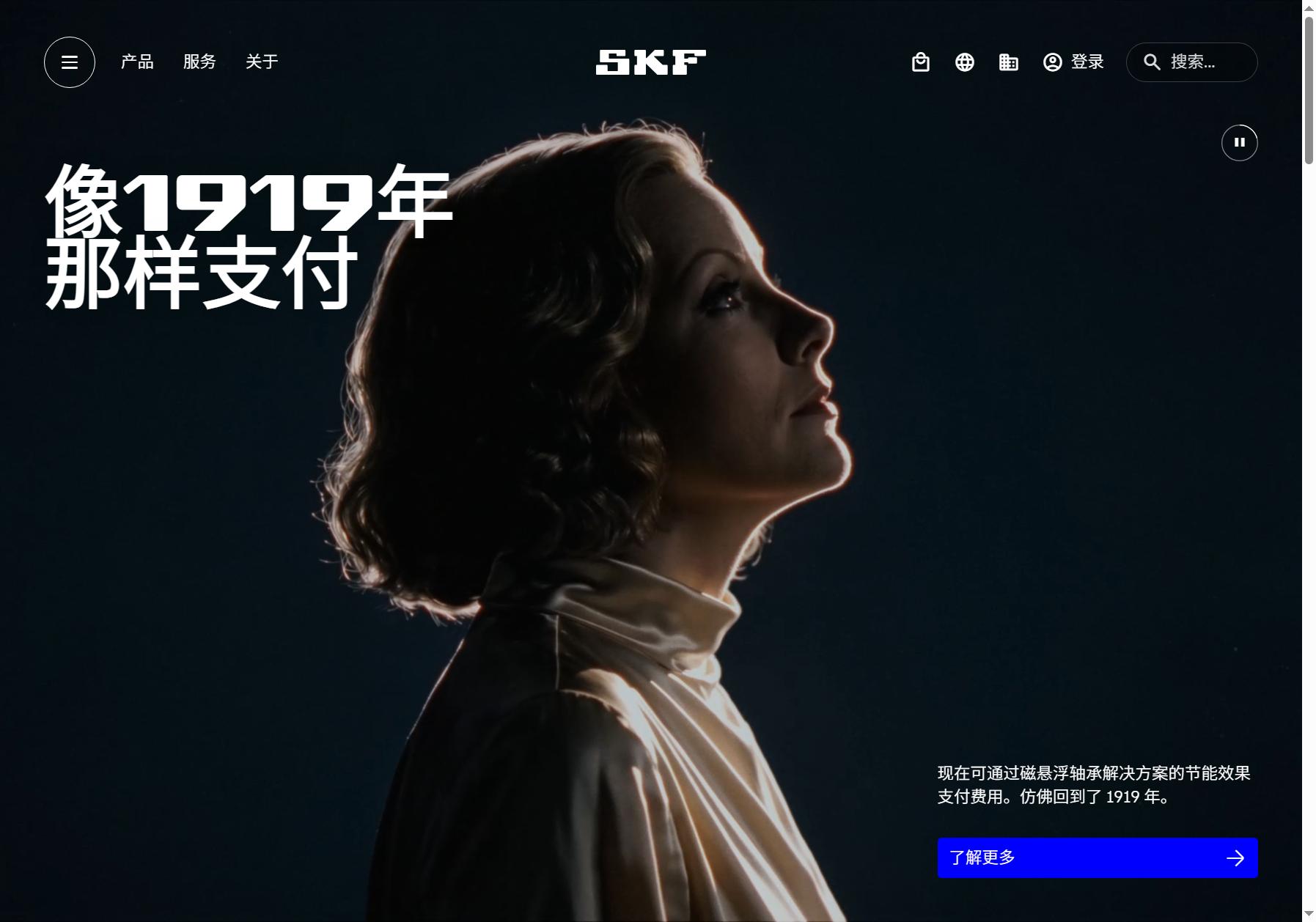 SKF 斯凯孚