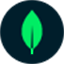 MongoDB数据库 [开源]