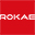 珞石机器人 ROKAE